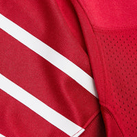 Arizona Cardinals Aeneas Williams Cardinal jersey – view 6