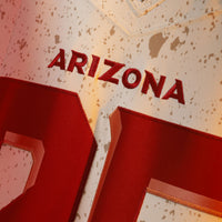 Arizona Cardinals Marvin Harrison Jr. jersey – view 5
