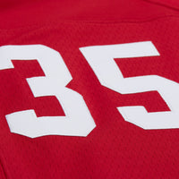 Arizona Cardinals Aeneas Williams Cardinal jersey – view 5